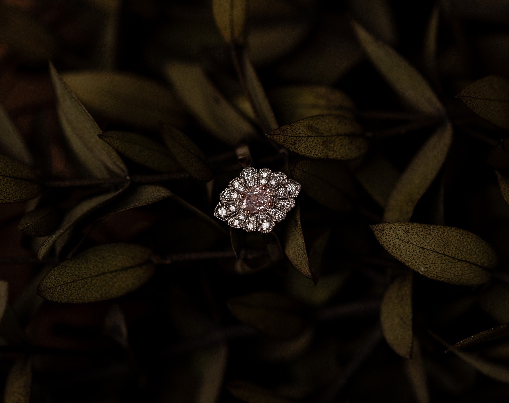 Diamond ring on a dark leafy background